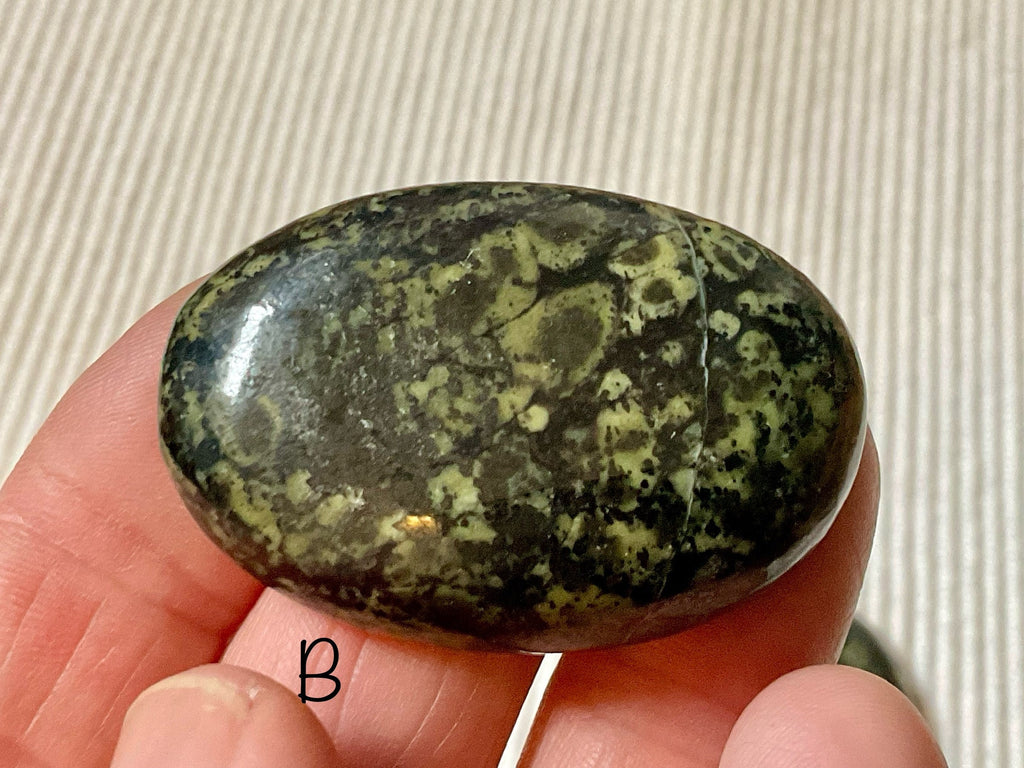 Pakistan Snakeskin Jasper (Asterite) Thumb Stone Group 4
