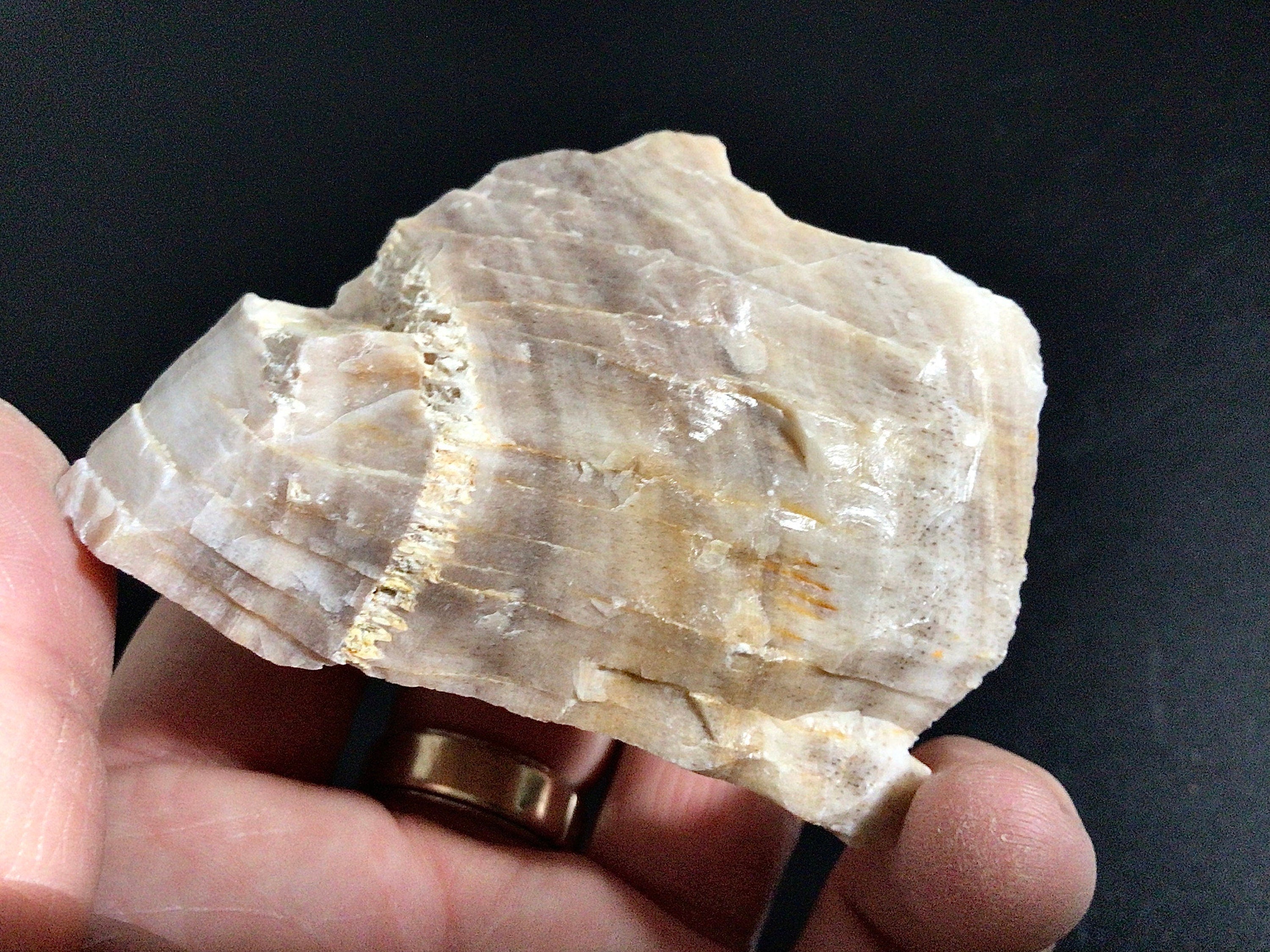 100g Natural Opalised Wood Rough Piece 2B