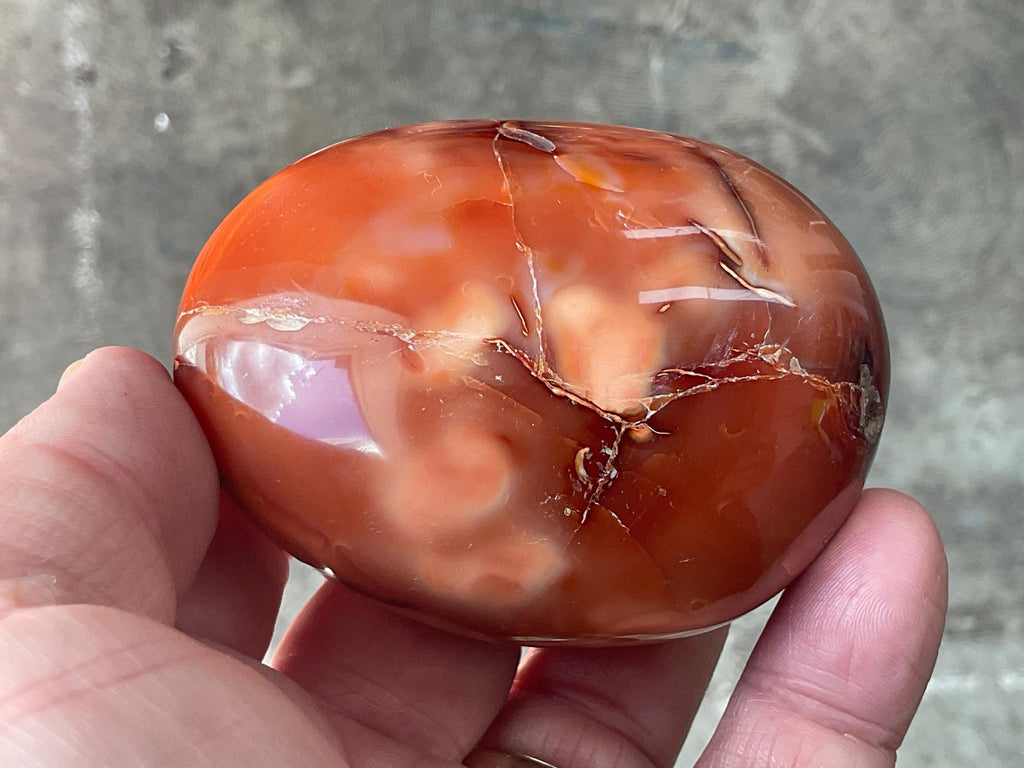 186g Carnelian Orca Agate Palmstone 7C