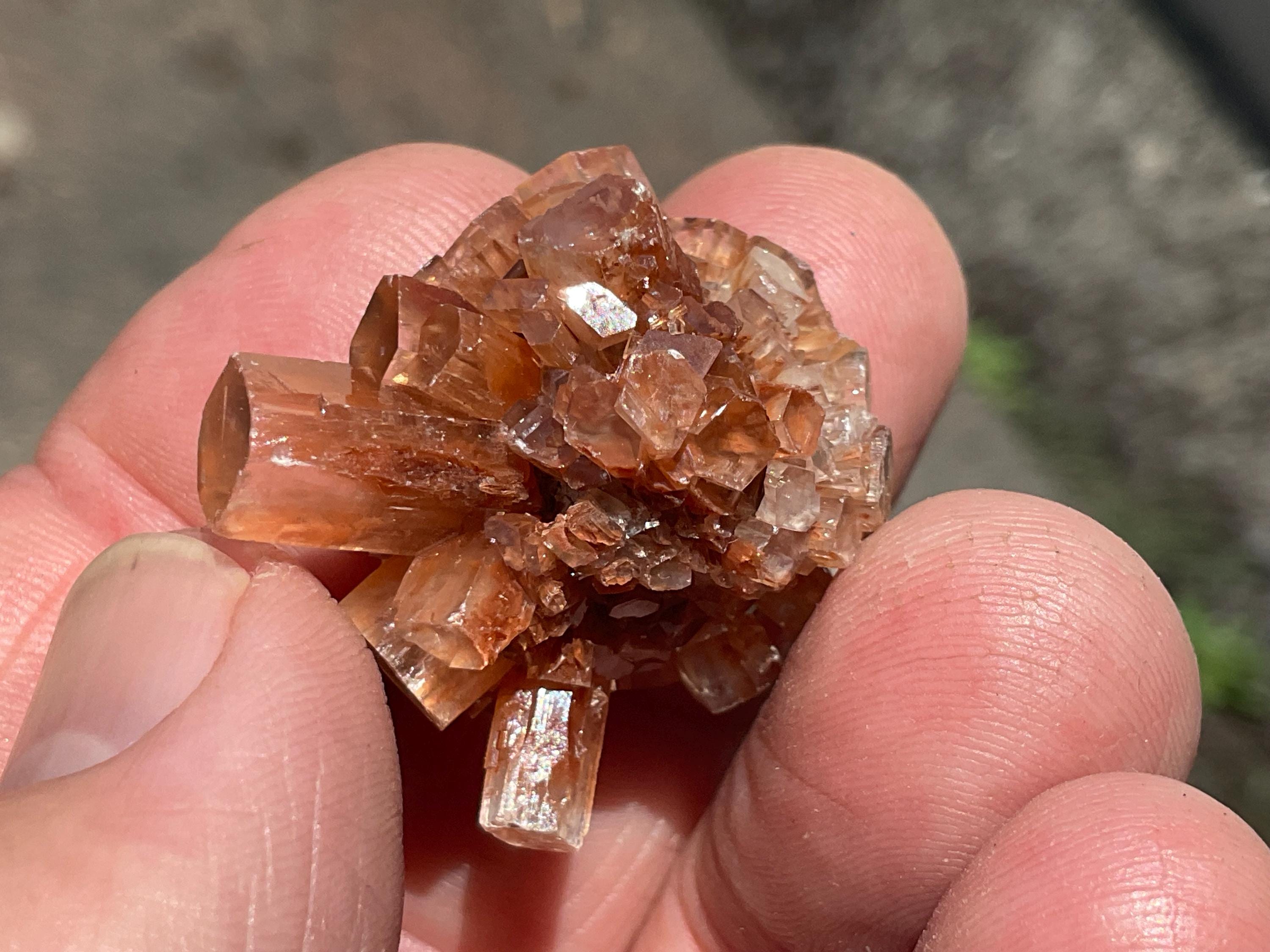 RESERVED FOR JULIA **13g Aragonite’Sputnik’