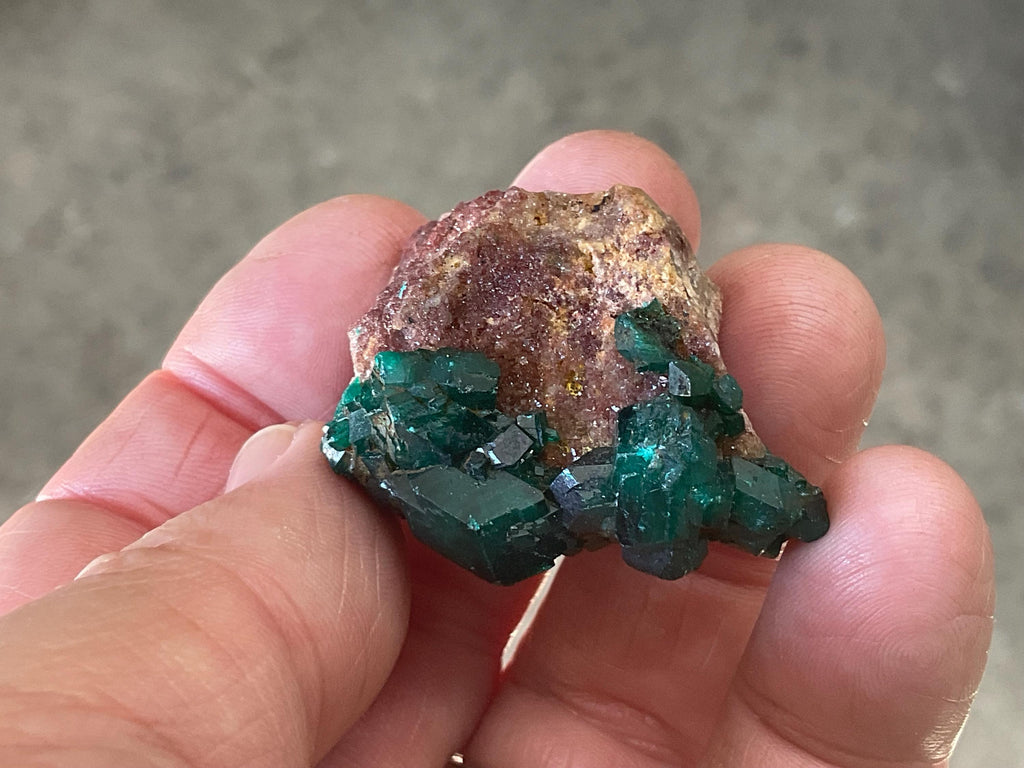 26g Congolese Dioptase Specimen 9A