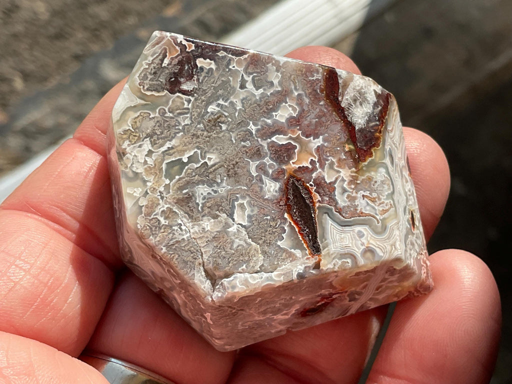 56G Mexican Crazy Lace Agate Freeform 18B