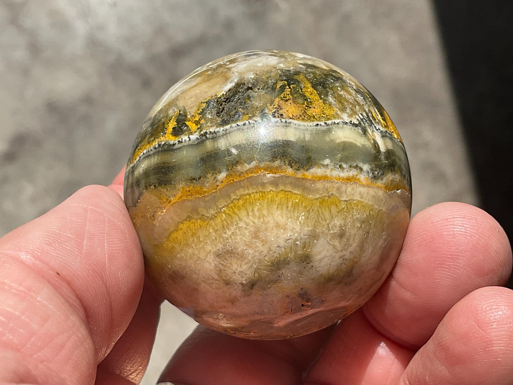 126g Indonesian BumbleBee Jasper Sphere 2B