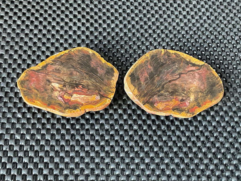 246g Pentoxolyn Petrified Wood Polished Split Pair
