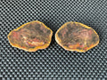 246g Pentoxolyn Petrified Wood Polished Split Pair