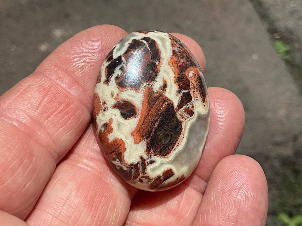 18g “Money Agate” Thumb Stone
