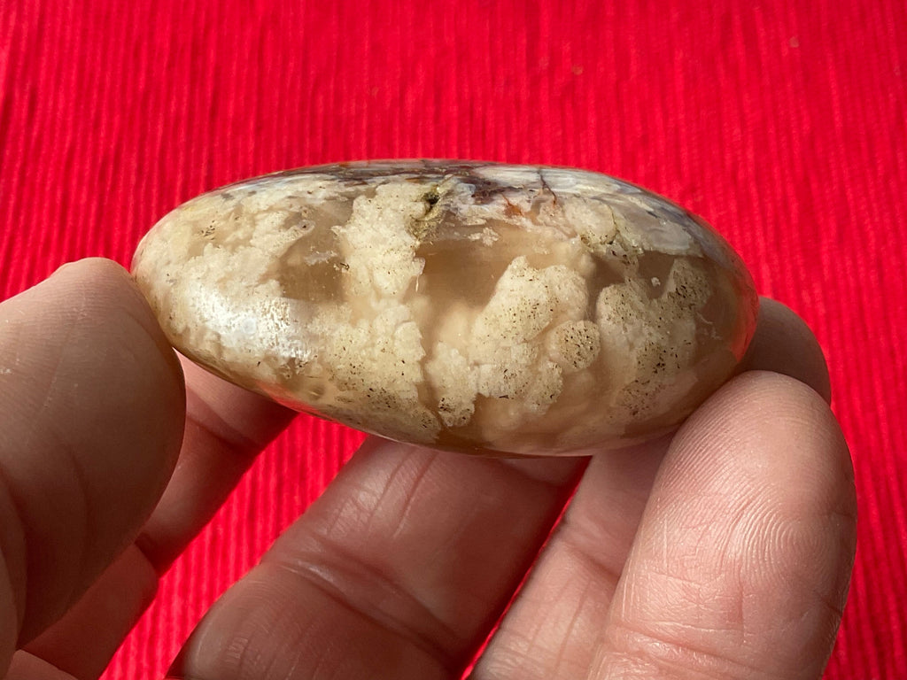 58g Flower Agate Palmstone 7B