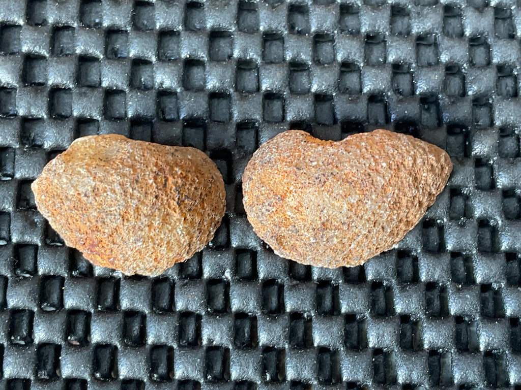 14g Small Brazilian Agate Polished Pair A
