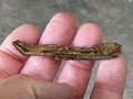 6g Stibiconite with Druzy Quartz Specimen 1A from Hunan, China