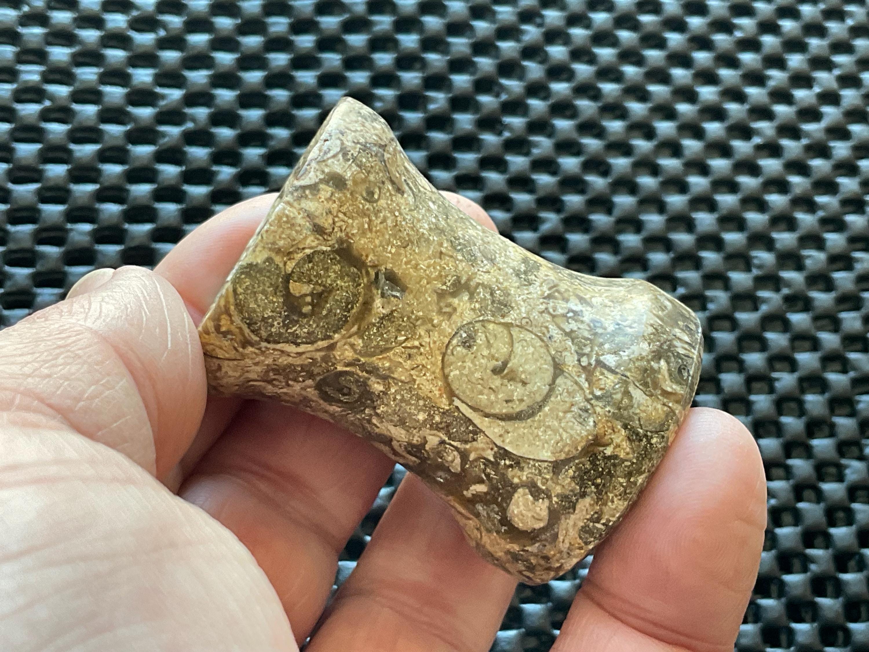 Fossilised Sea Bed Pedestal Sphere Stand 2A
