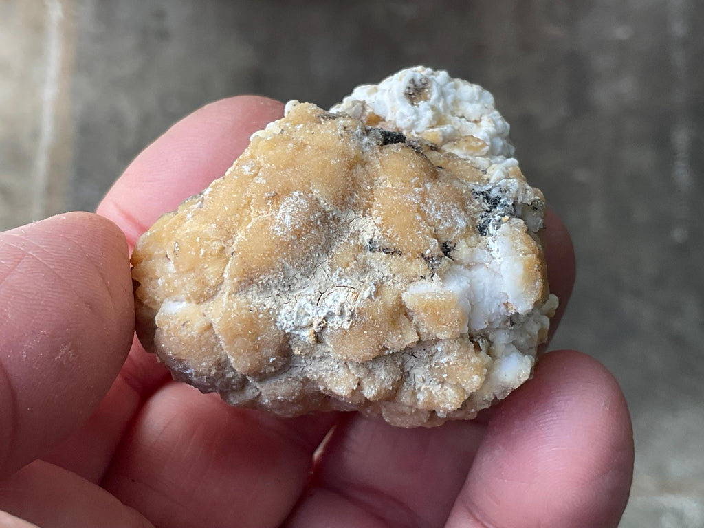 64g “Popcorn Selenite” Specimen 4B