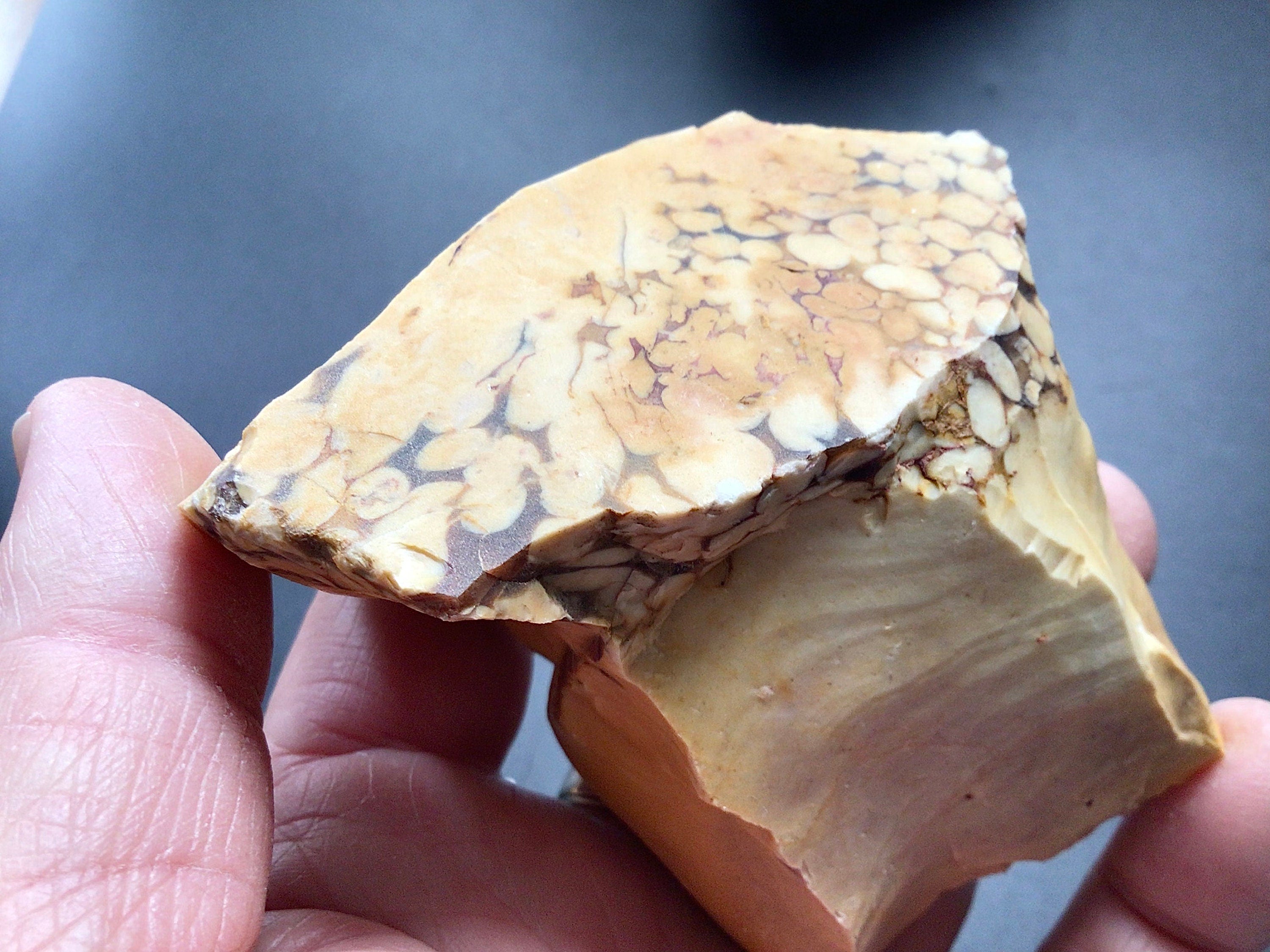 214g Sliced Western Australian Peanut Wood 12A