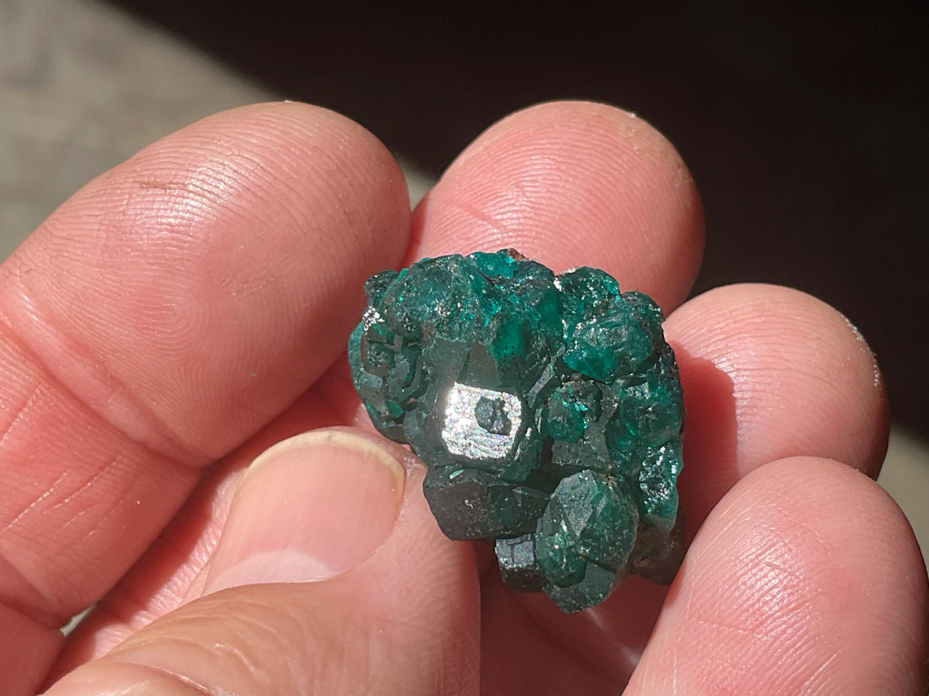 8g Congolese Dioptase Specimen 6B