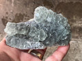 334g Botryoidal Pastel Fluorite Specimen 4A from Henan, China