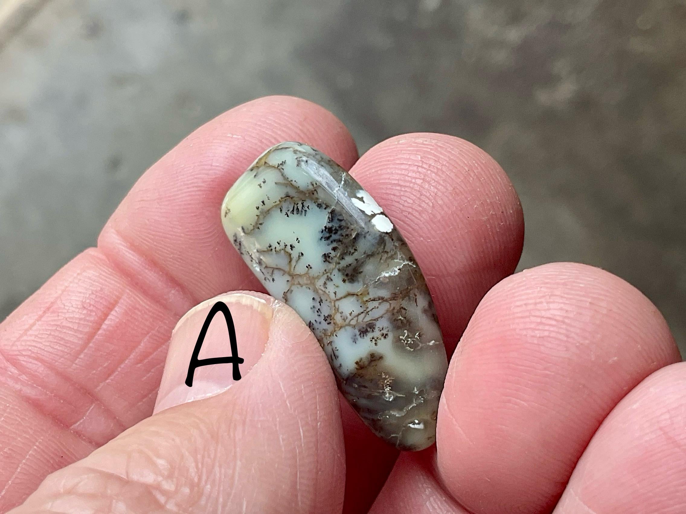 Grey/Green Western Australian Dendritic Opalite Flat Stone Group