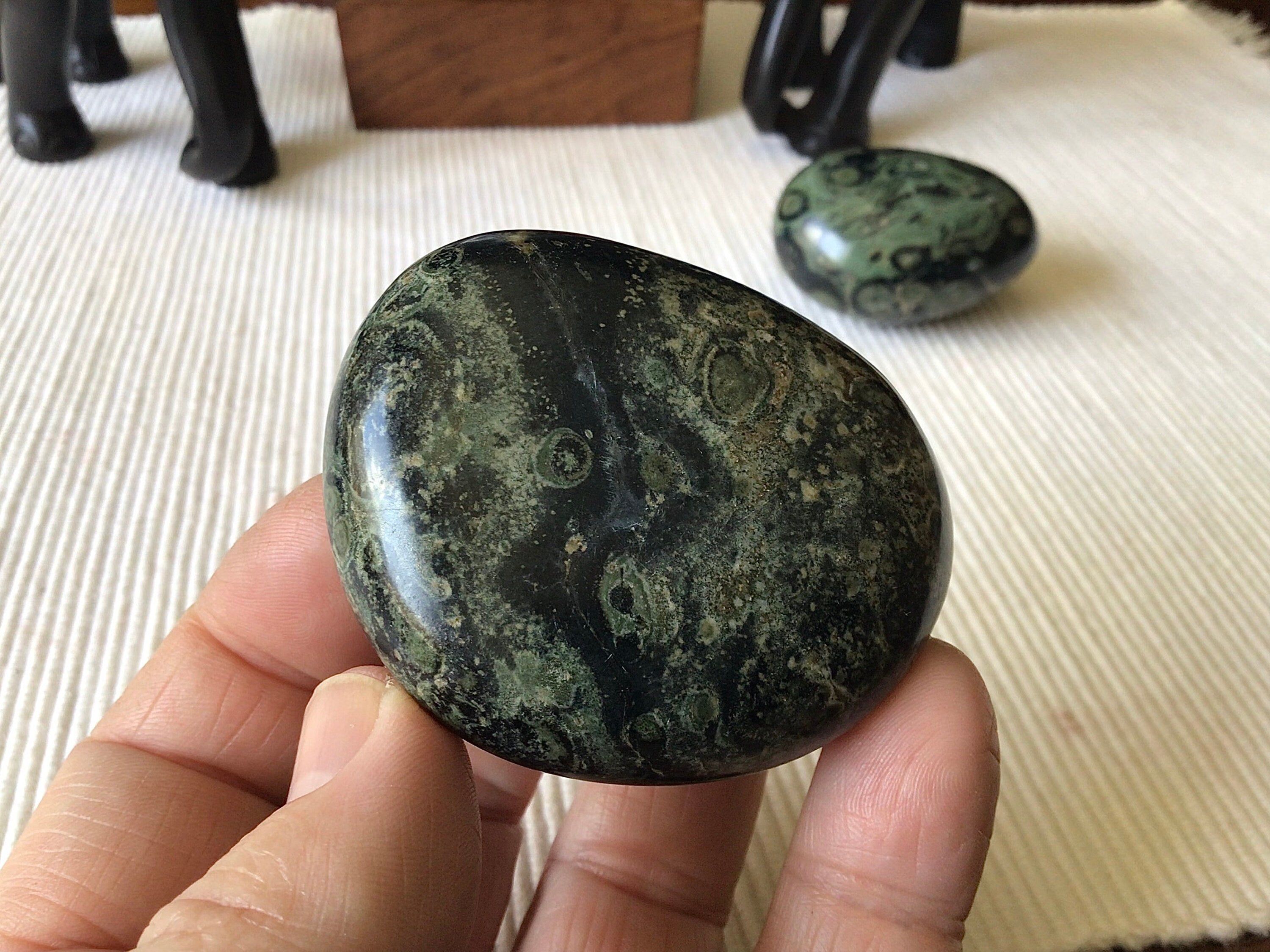 119g Kambaba Jasper Palmstone 3C