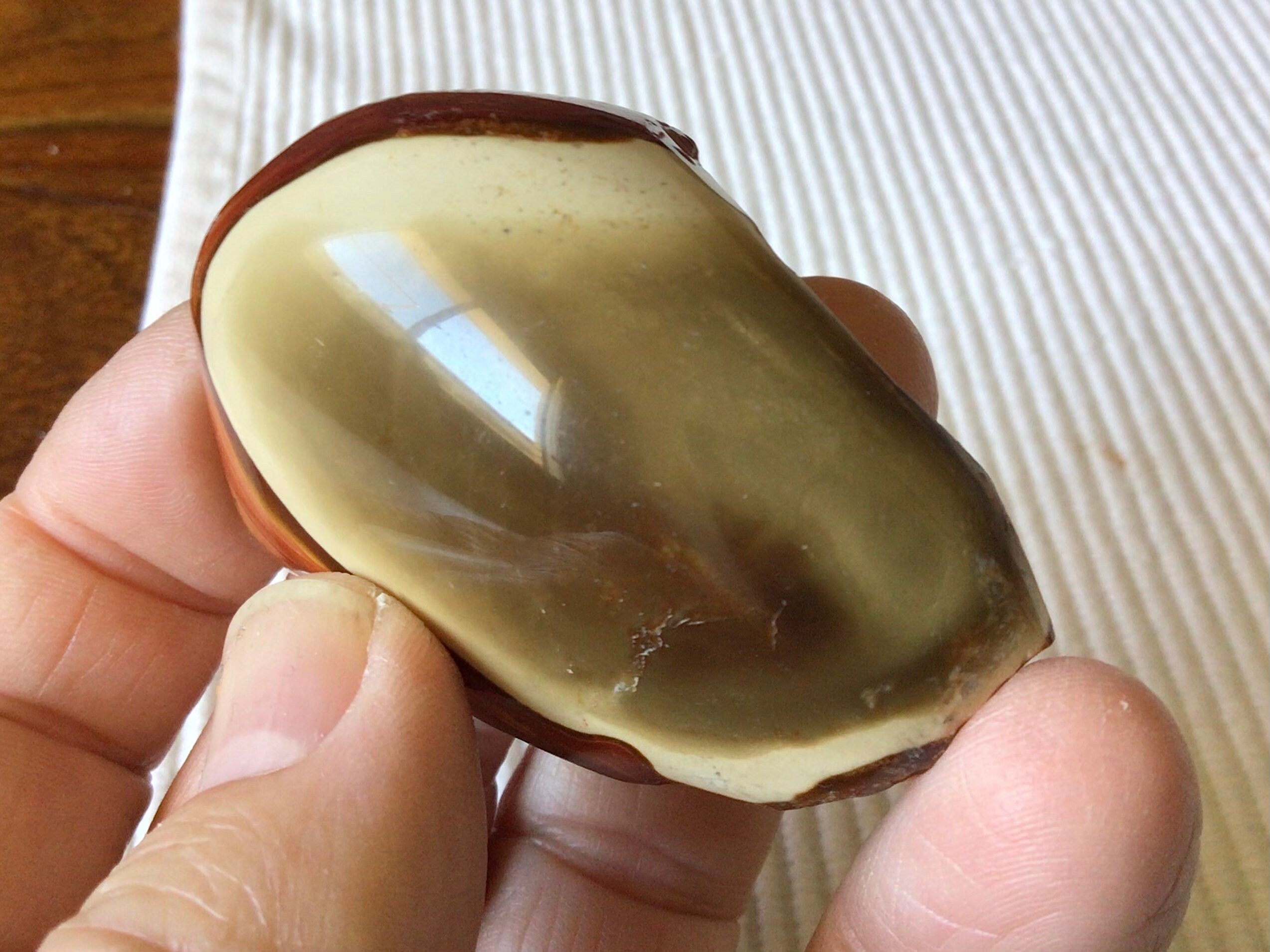 63g Polychrome Jasper One Side Polished 11A