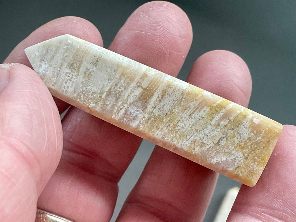 35g Fossilised Coral Generator 3B