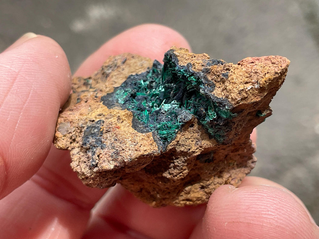 10g Atacamite Specimen 1A from Mt Gunson
