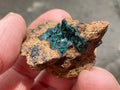 10g Atacamite Specimen 1A from Mt Gunson