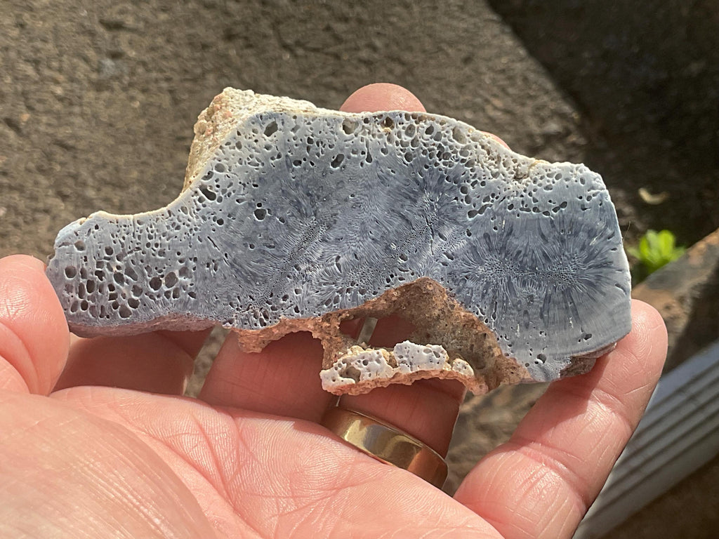 58g Natural Blue Coral Fossil Slab 3A