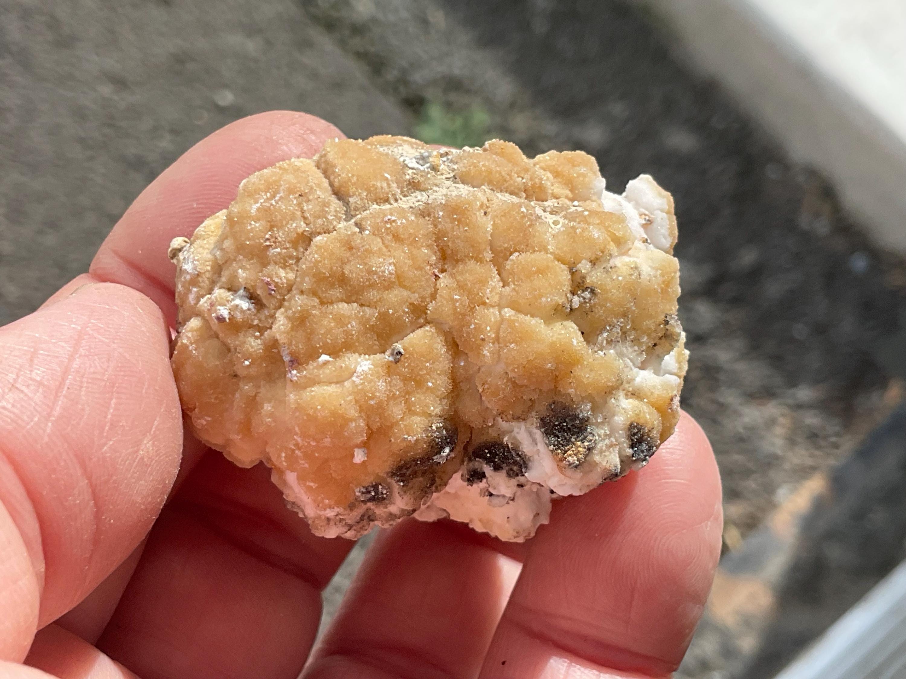 64g “Popcorn Selenite” Specimen 4B