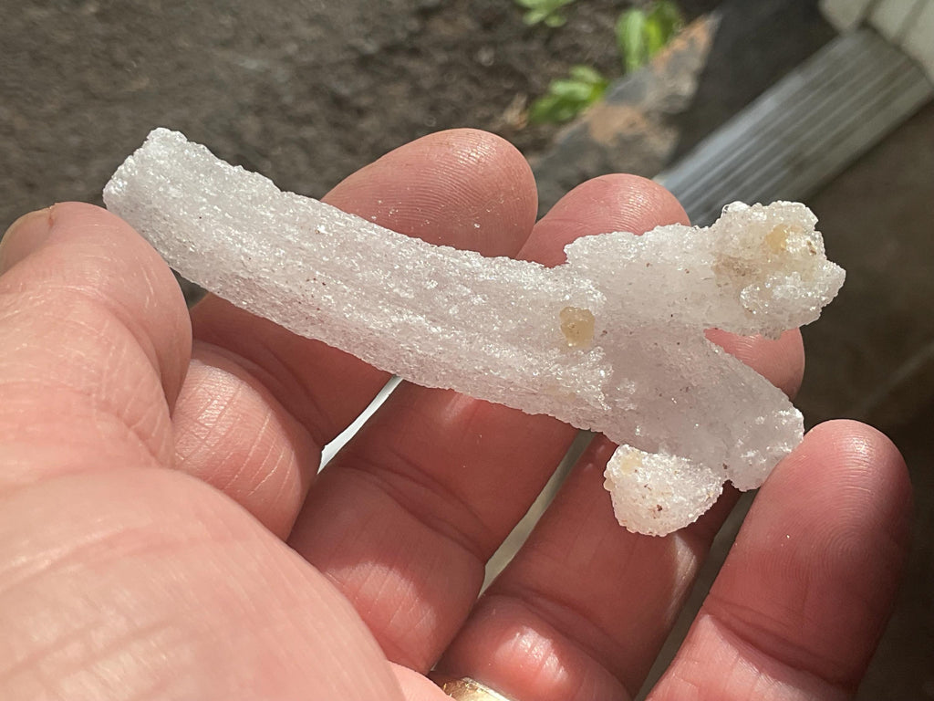 18g Rams Horn Selenite Specimen 5C