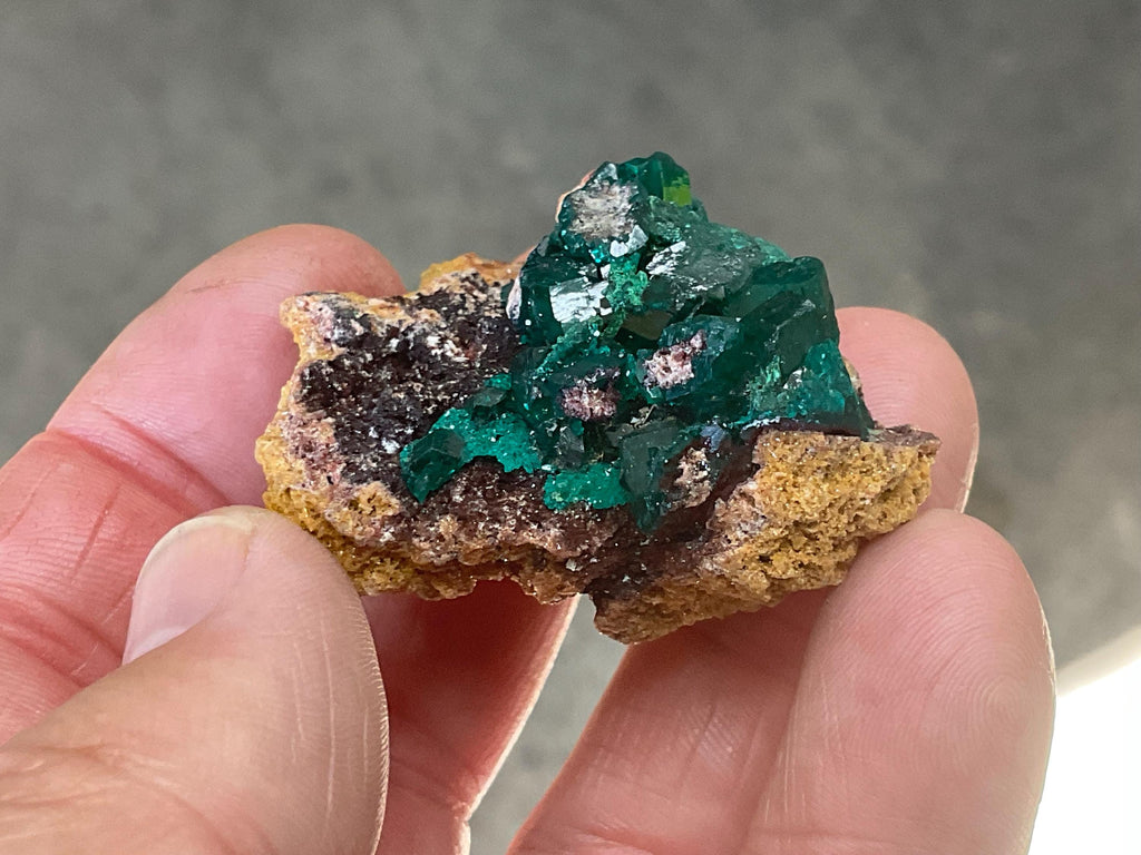28g Congolese Dioptase Specimen 10A