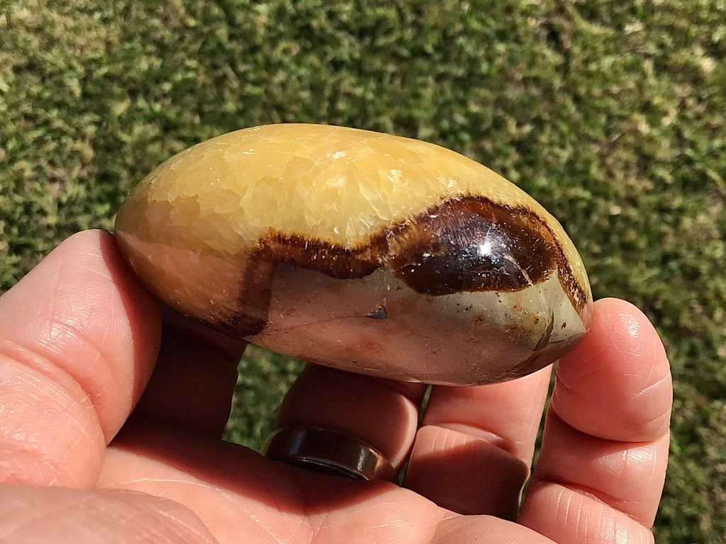 158g Madagascan Septarian Palmstone 2C