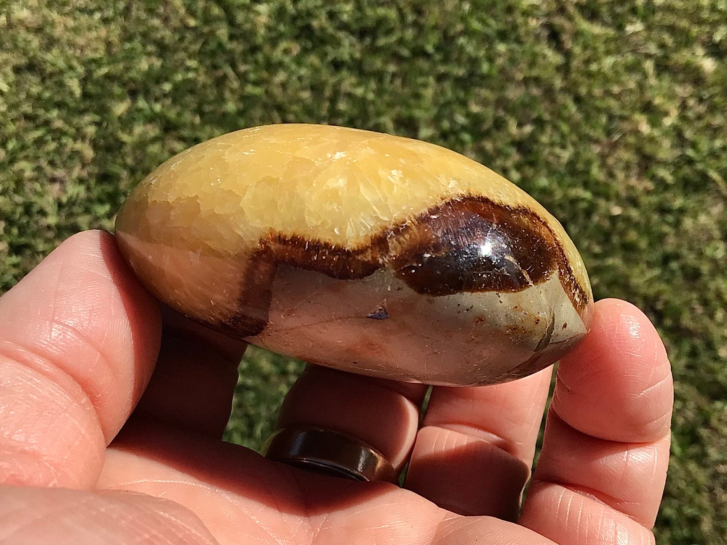 158g Madagascan Septarian Palmstone 2C