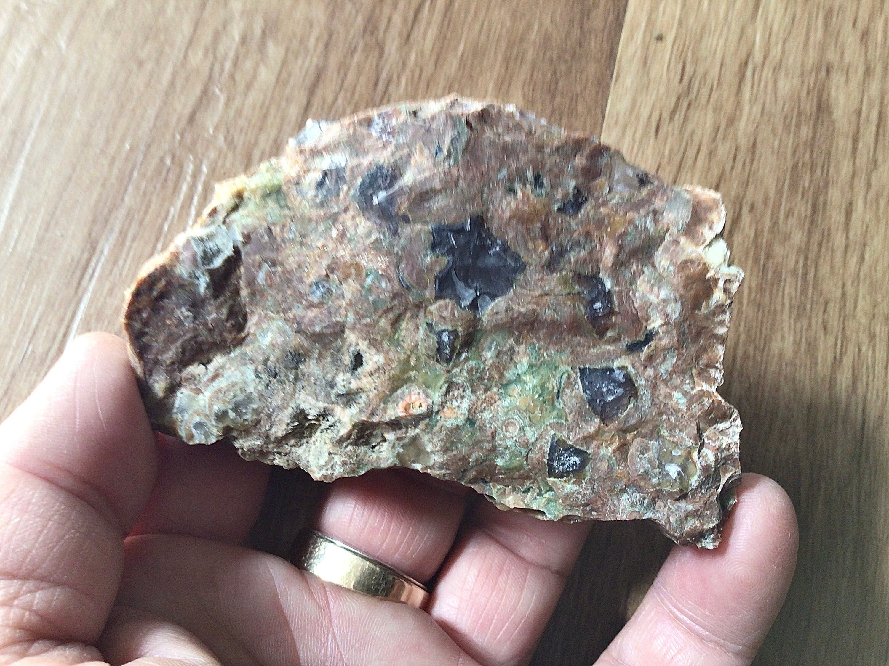 150g Mt Hay Rainforest Jasper Rough 4A
