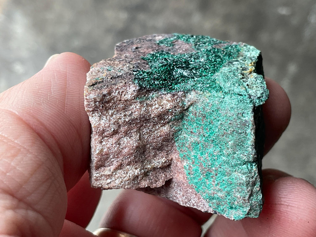 56g Atacamite Specimen 1C from Mt Gunson