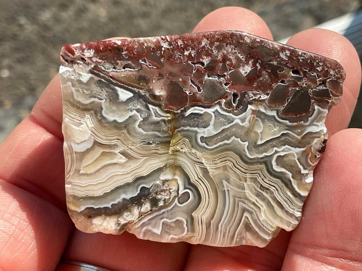 42g Mexican Crazy Lace Agate Freeform 16B