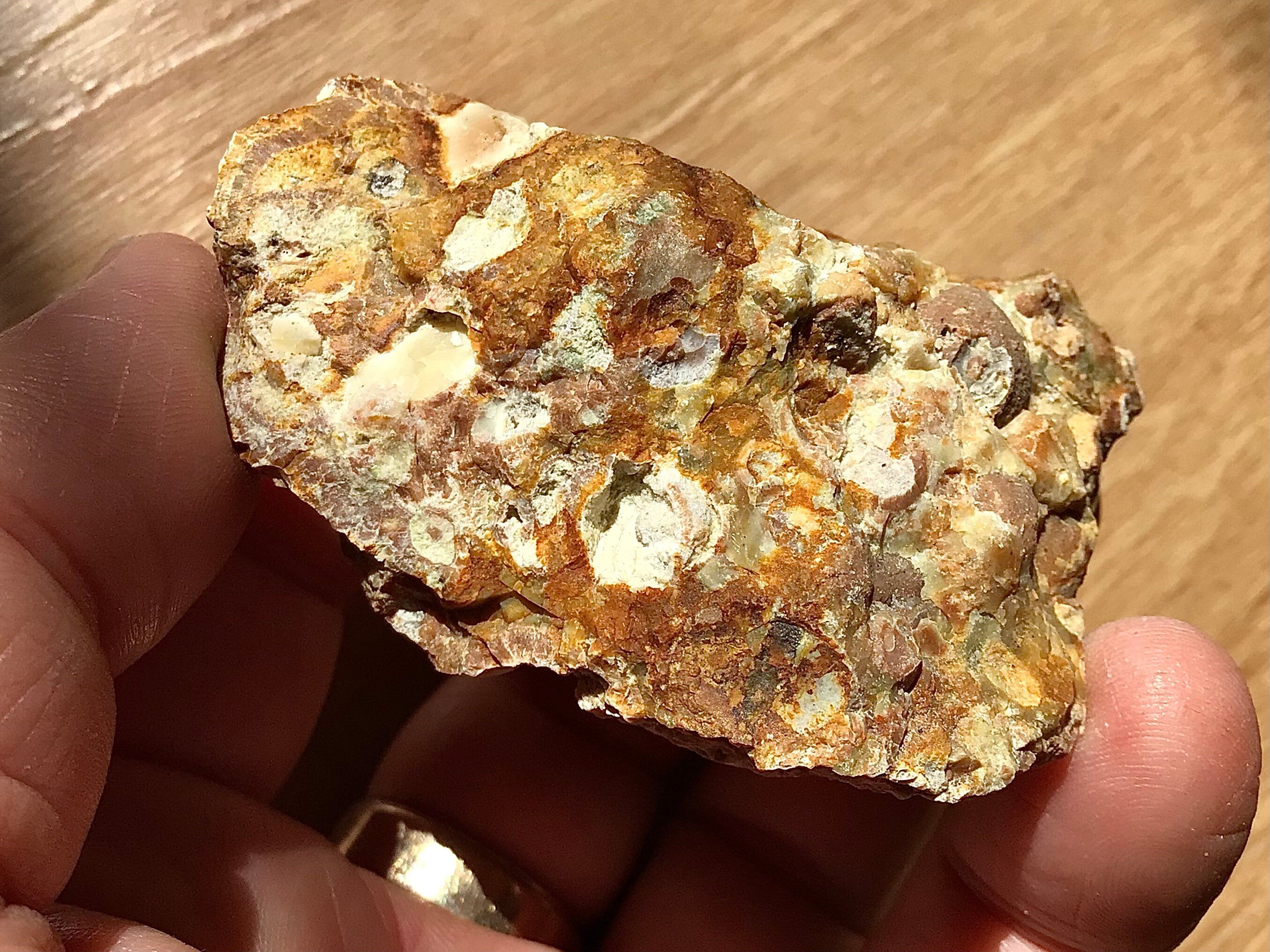 100g Mt Hay Rainforest Jasper Rough 2A