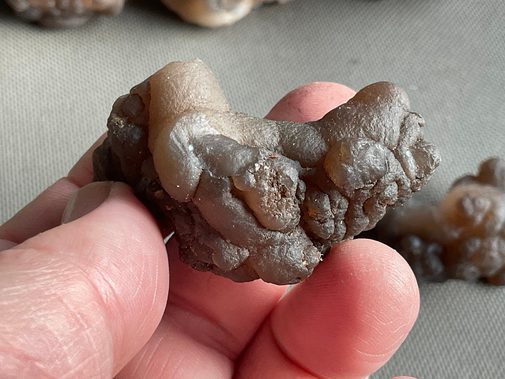 36g Panda Agate Natural Specimen 3B