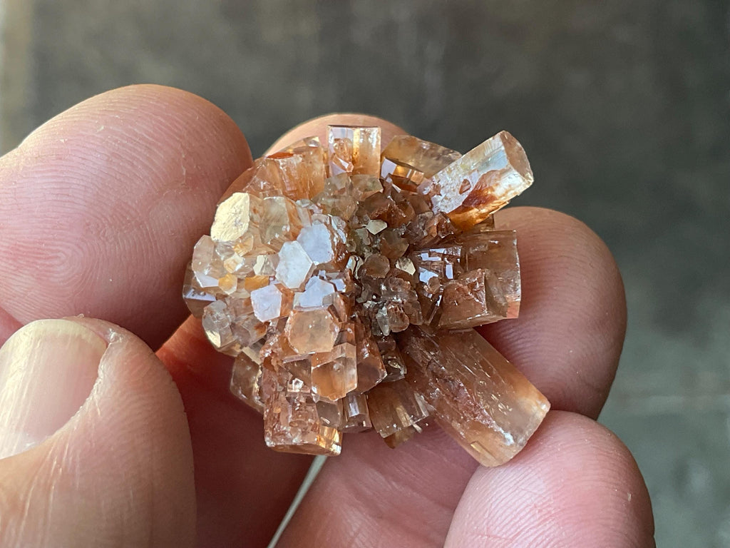 RESERVED FOR JULIA **13g Aragonite’Sputnik’