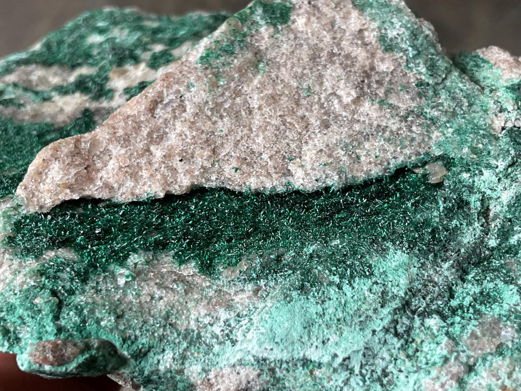 370g Atacamite Specimen 1D from Mt Gunson