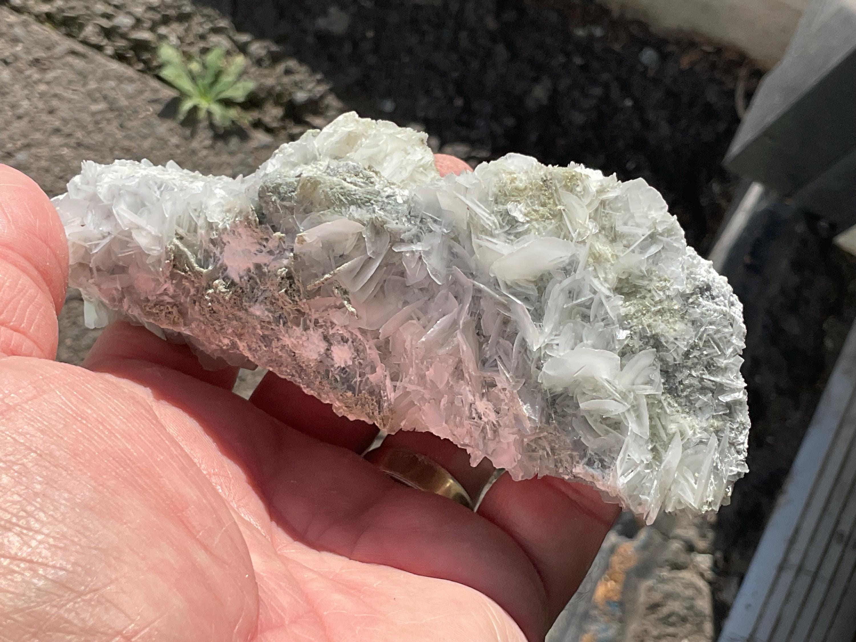 288g Highly UV Reactive “Angel Wing” Calcite Specimen 2C from Hunan, China