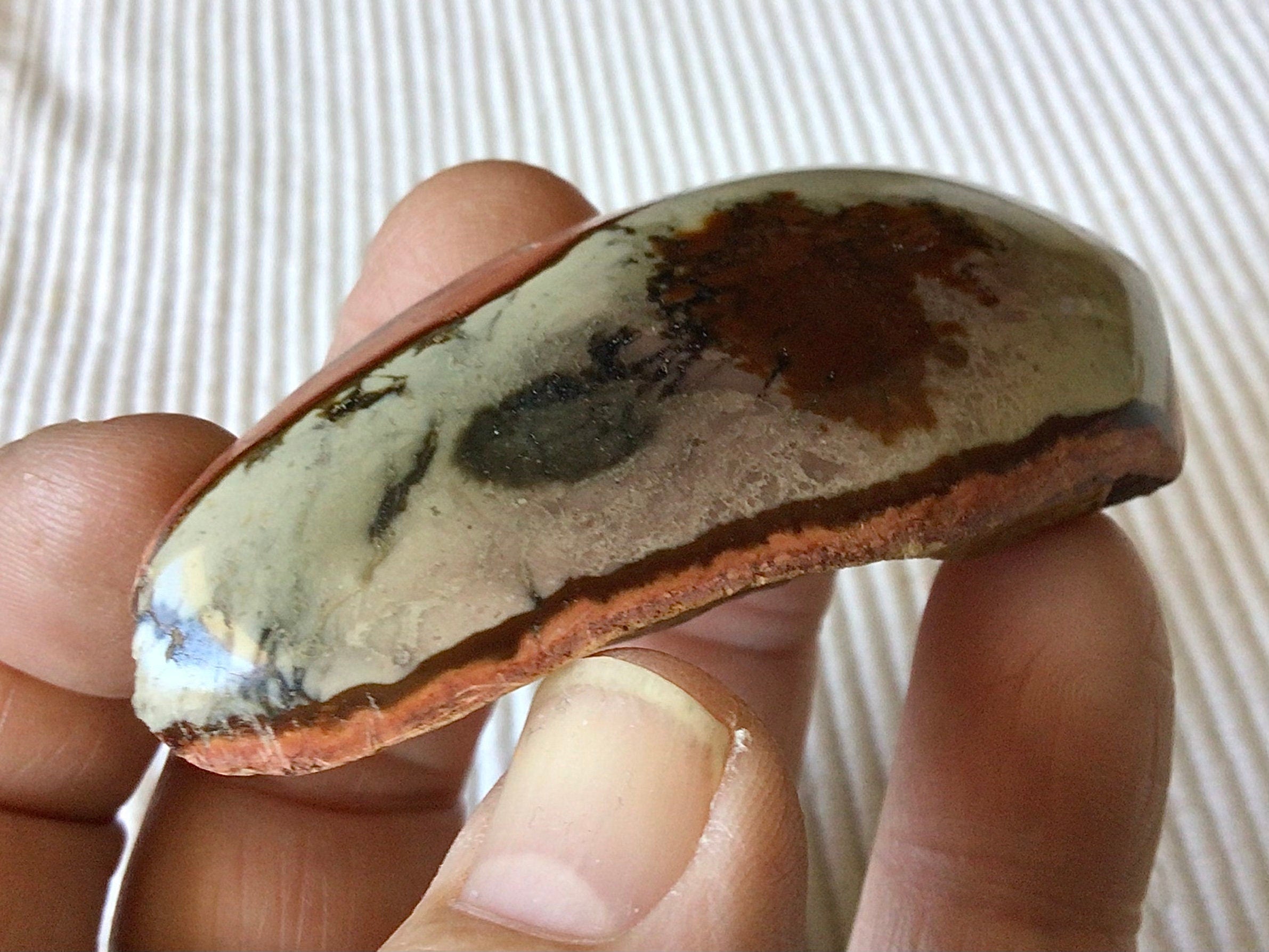 50g Polychrome Jasper One Side Polished 11B