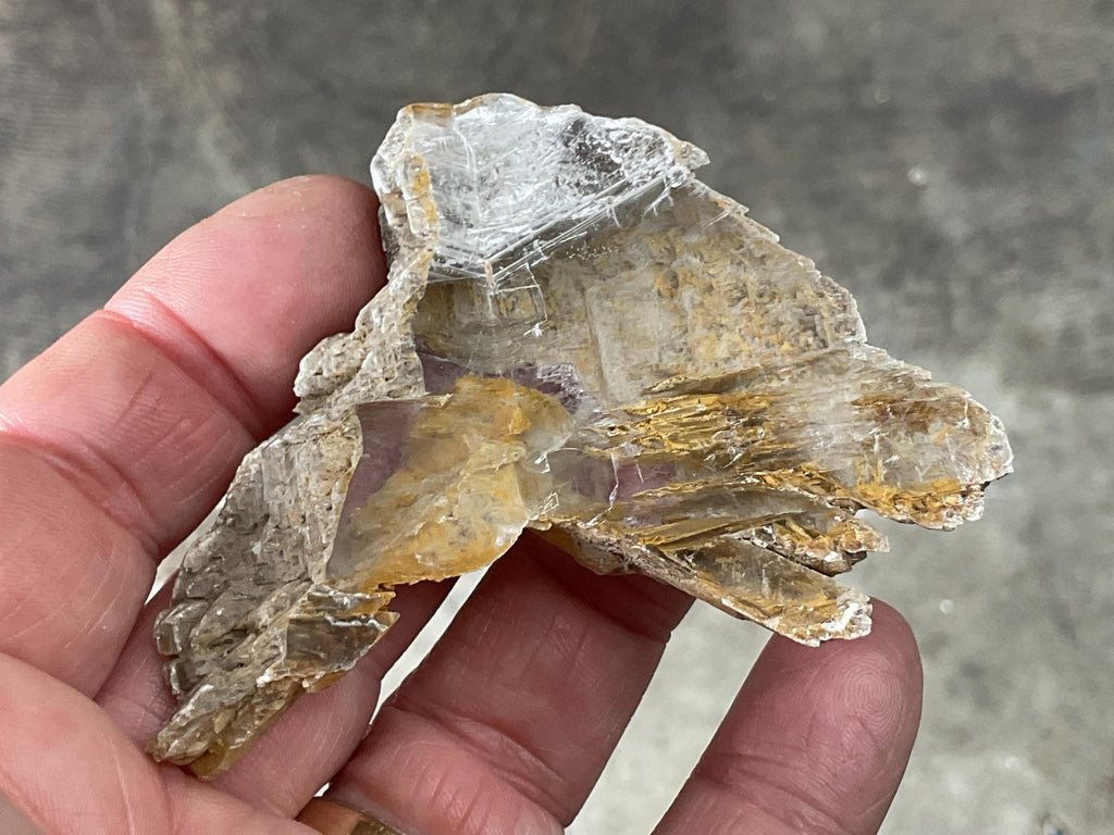 34g “Garden Selenite” Specimen 1B