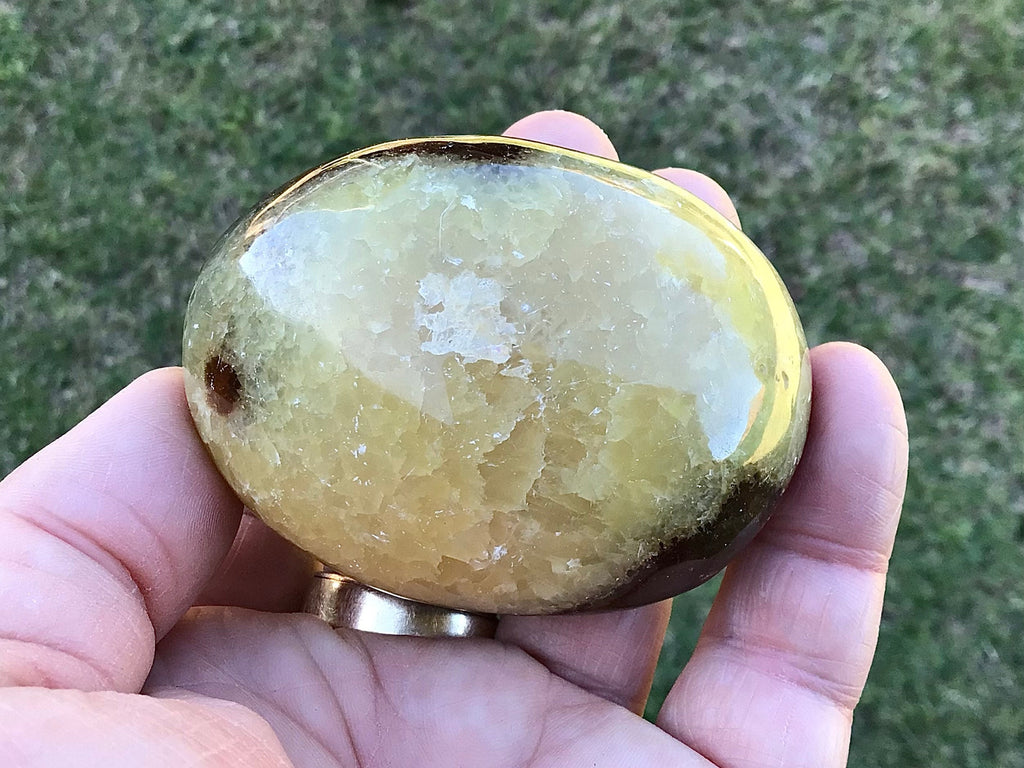 158g Madagascan Septarian Palmstone 2C
