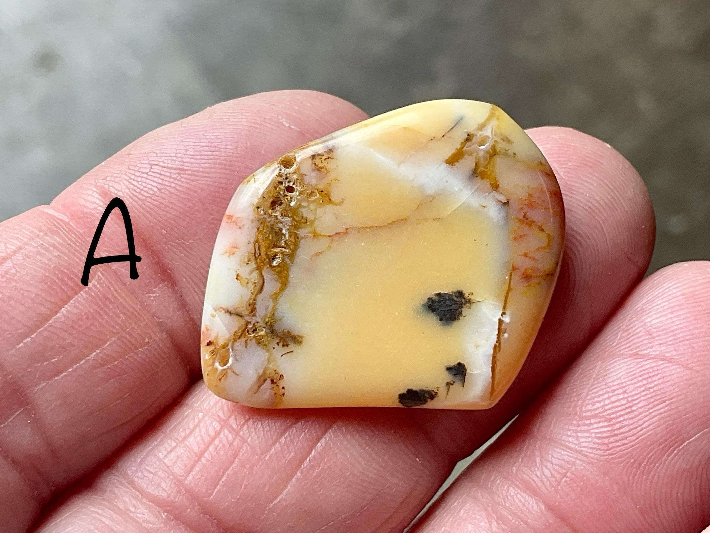 Western Australian ‘Rosella’ Dendritic Opalite Flat Stone Group