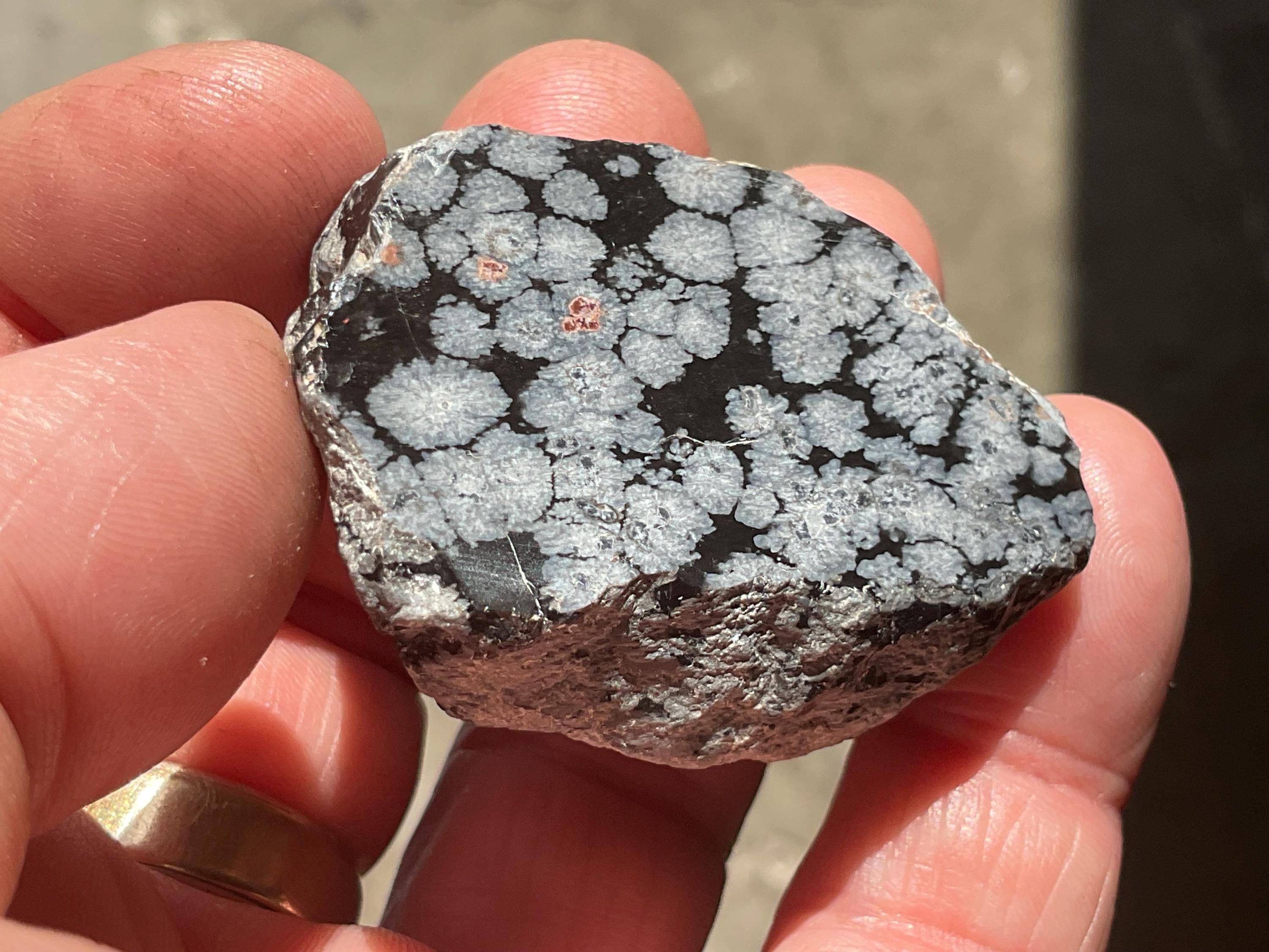 52g Snowflake Obsidian One Side Polished Piece A