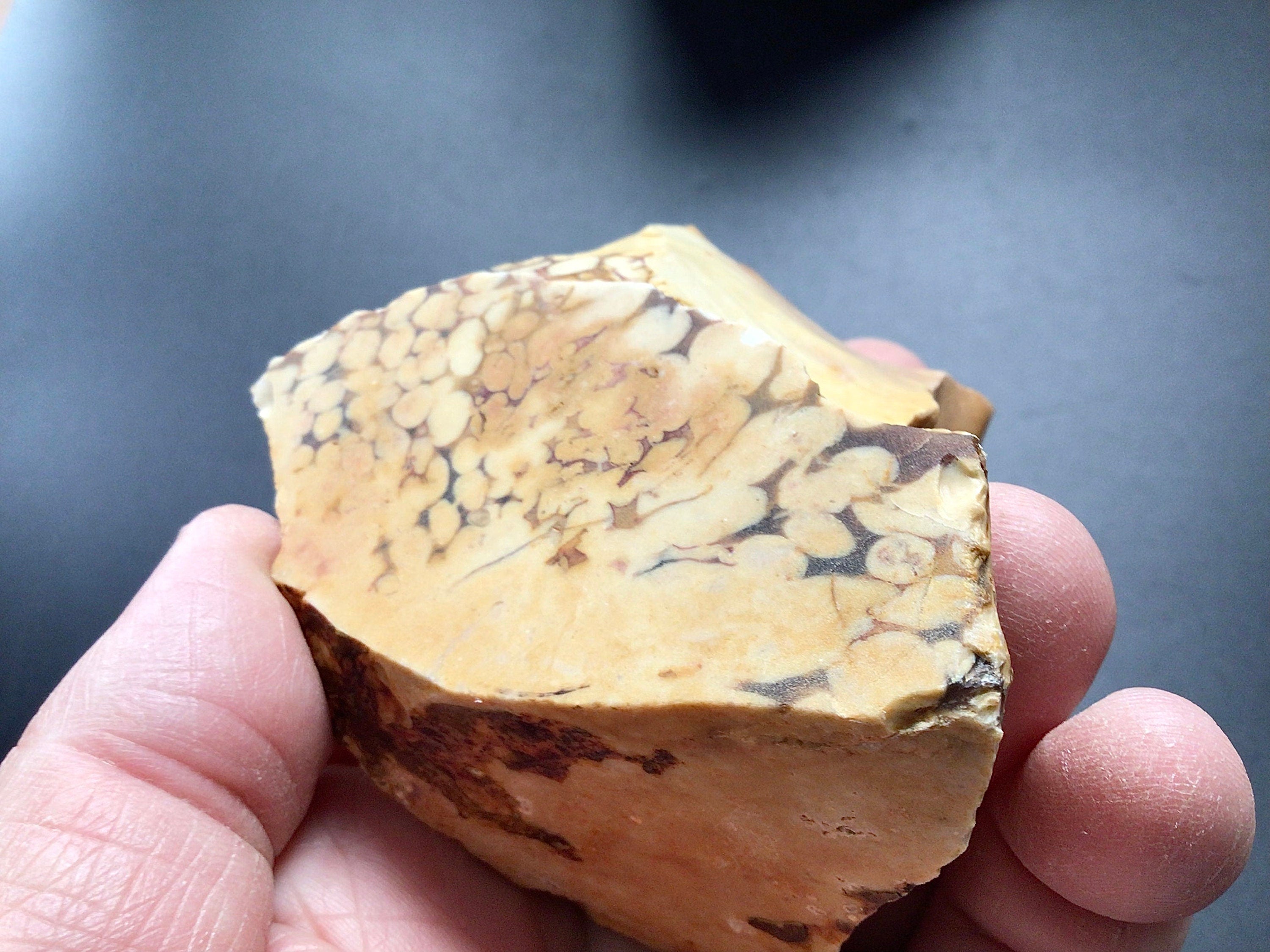 214g Sliced Western Australian Peanut Wood 12A