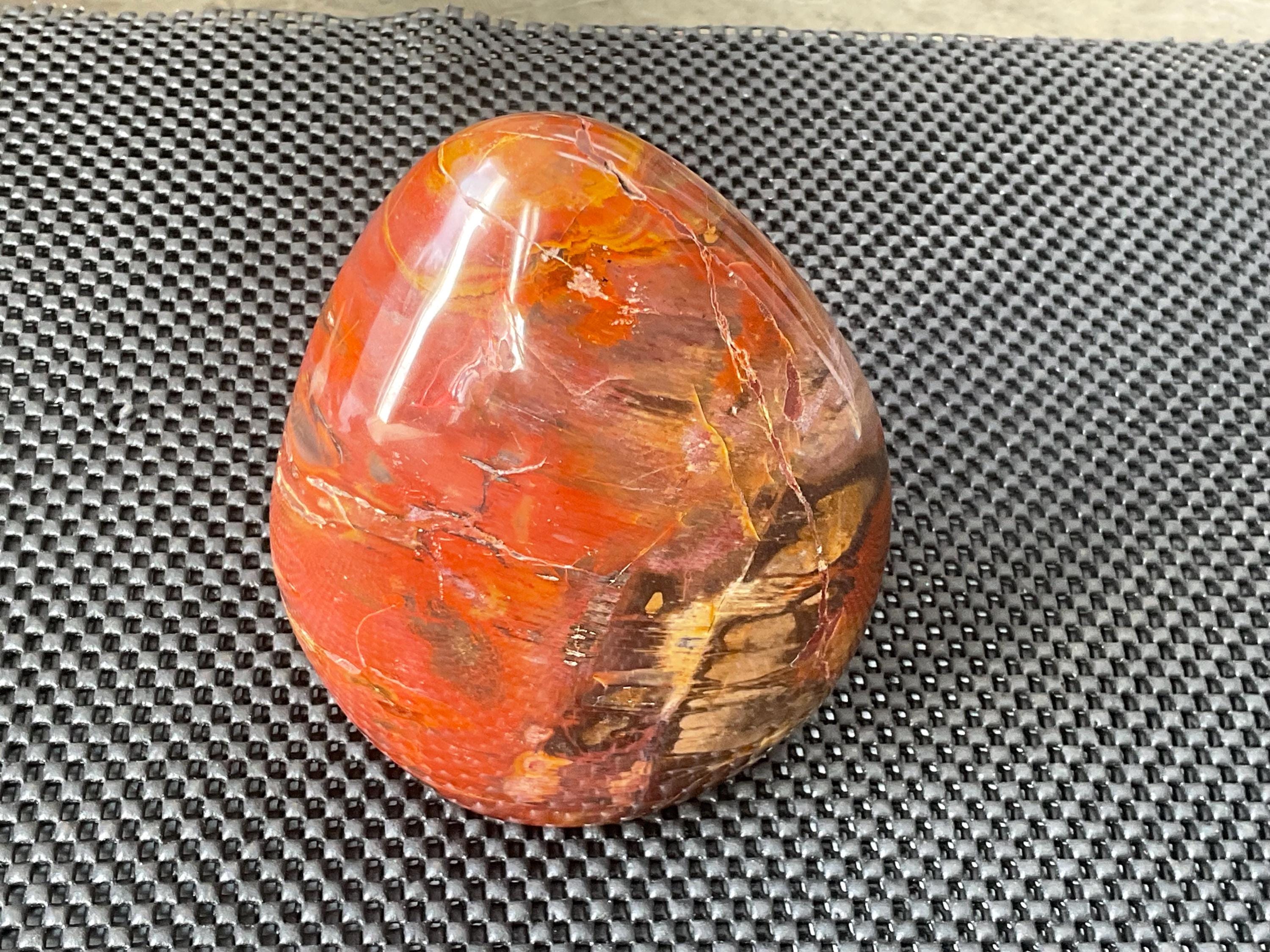 1.5kg Red Petrified Wood Freeform from Madagascar