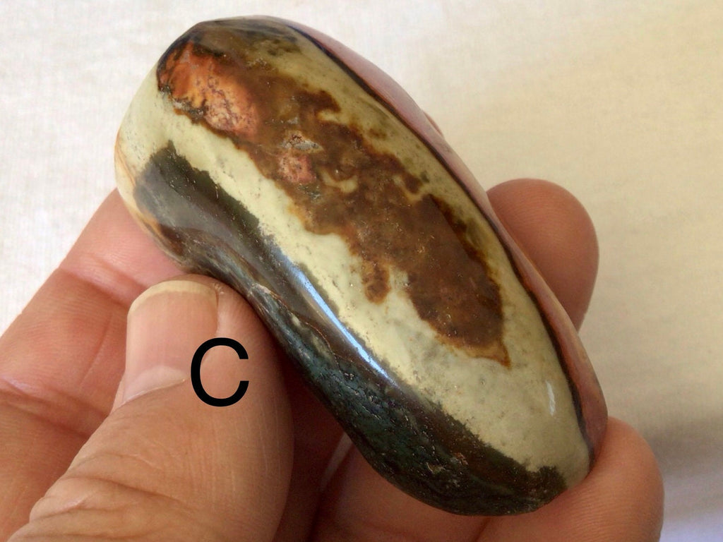 Polychrome Jasper One Side Polished Palmstone Group 9