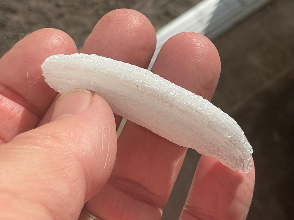 10g Rams Horn Selenite Specimen 4A