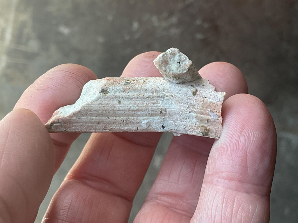 16g Feldspar Pseudomorph after Scapolite Specimen B