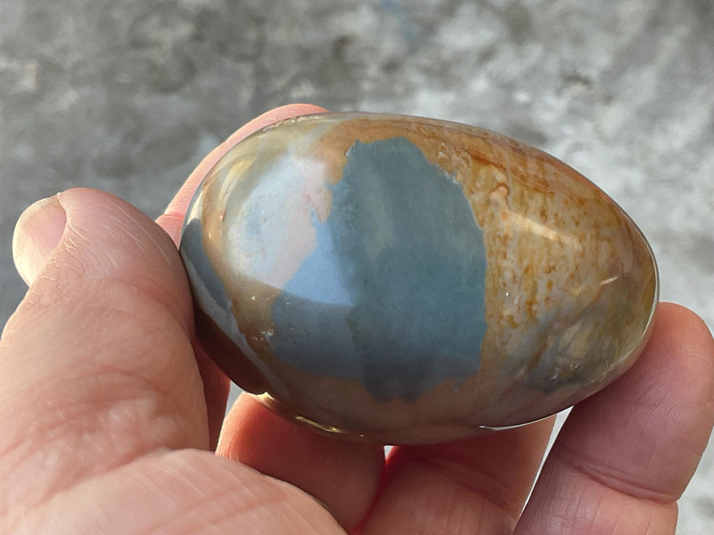 152g Polychrome Jasper Palmstone 26B