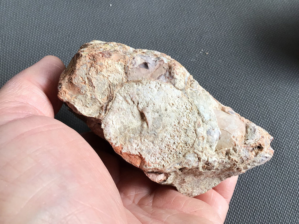 416g King Cobra Jasper Rough Piece